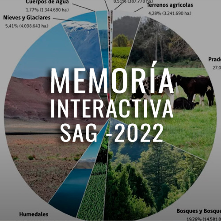 portafolio_MIS2022